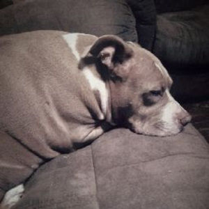 Meet your Posher, Jordan